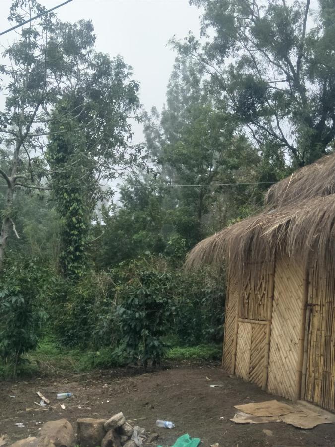 Jungle Retreat Natural Stay Kombaikadu كوديكانال المظهر الخارجي الصورة