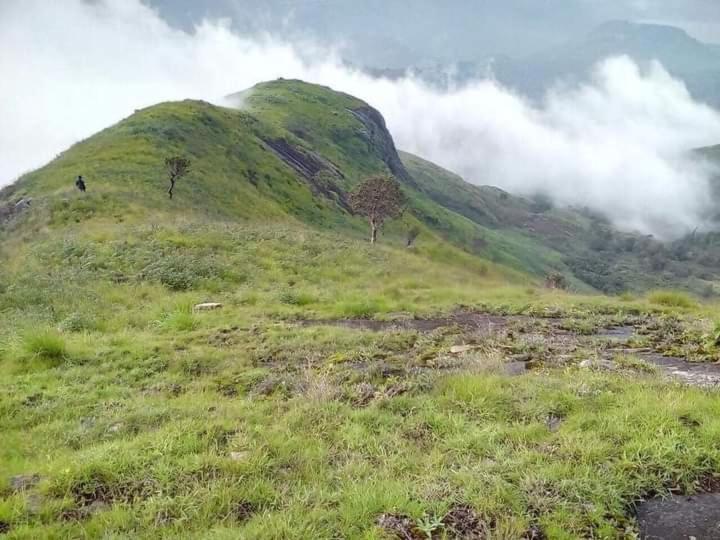Jungle Retreat Natural Stay Kombaikadu كوديكانال المظهر الخارجي الصورة